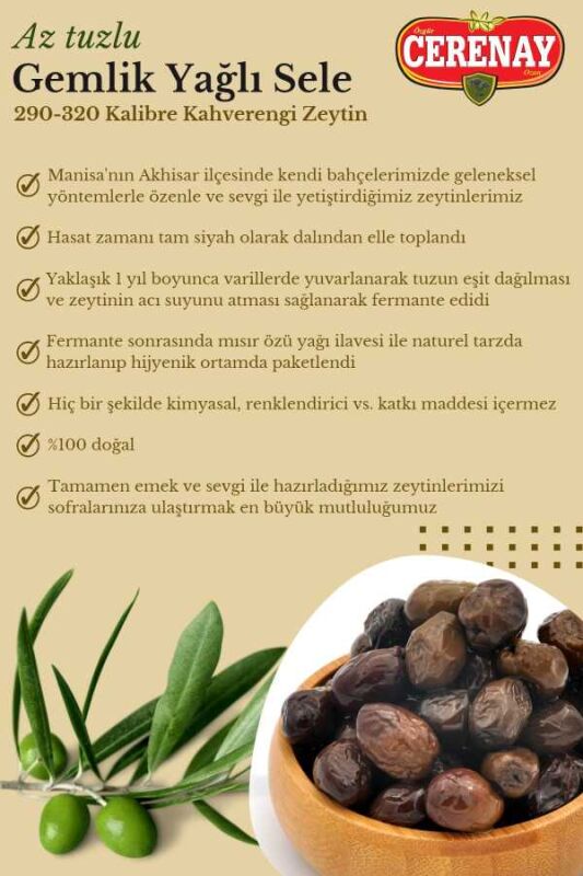 1 KG Az Tuzlu Gemlik Yağlı Sele Sofralık Siyah Kahverengi Zeytin 291-320 Kalibre - 3