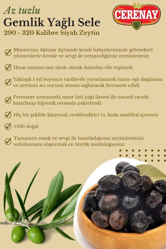 1 KG Az Tuzlu Gemlik Yağlı Sele Sofralık Siyah Zeytin 291-320 Kalibre - 3